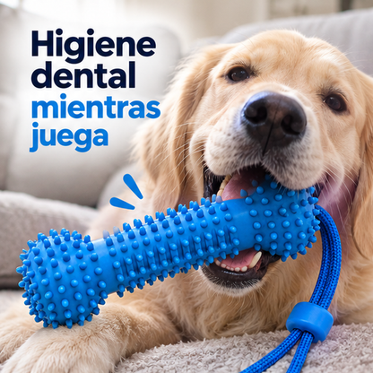Juguete mordedor dental