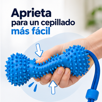 Juguete mordedor dental