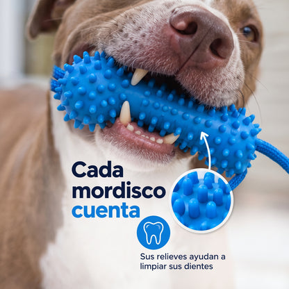 Juguete mordedor dental