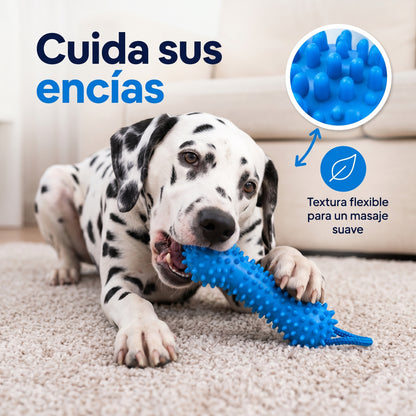 Juguete mordedor dental