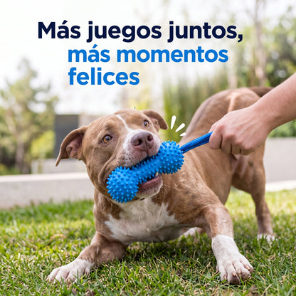Juguete mordedor dental